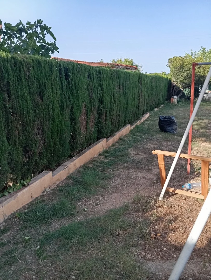 Trabajo 2 de jardinero